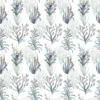 Tapetti Coral Reef - Image 4