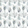 Tapetti Coral Reef - Image 3