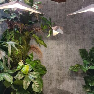 Fengshui eteinen ja sisääntulo – piha, pääovi ja eteinen
