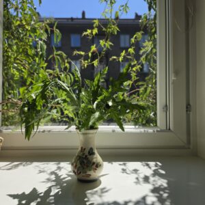 Fengshui-elementtien tasapaino – viiden elementin tunnistaminen kodissa