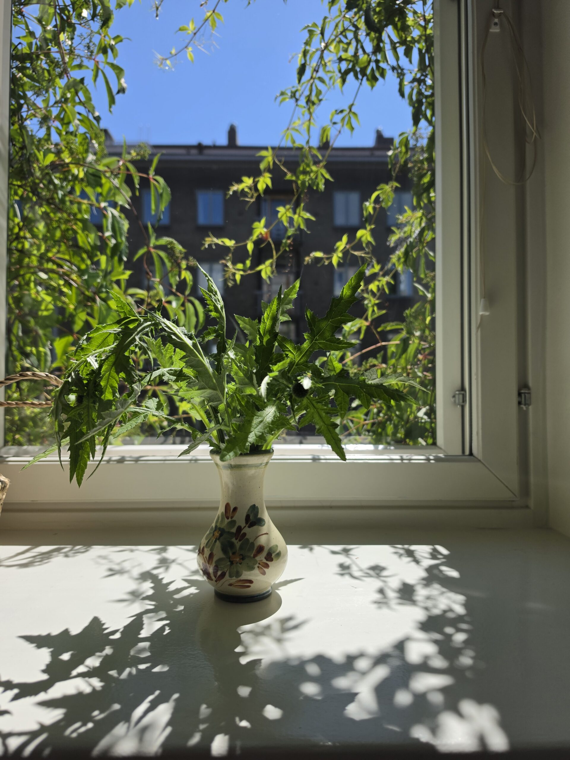Fengshui-elementtien tasapaino – viiden elementin tunnistaminen kodissa