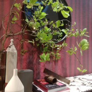 Fengshui-harmonia kotiin – yksi muutos kerrallaan, rauhallinen koti